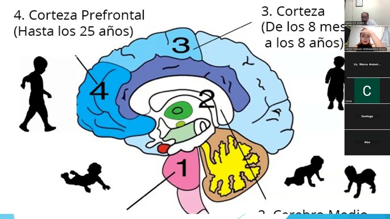 JUSTICIA PENAL PARA ADOLESCENTES E INIMPUTABILIDAD