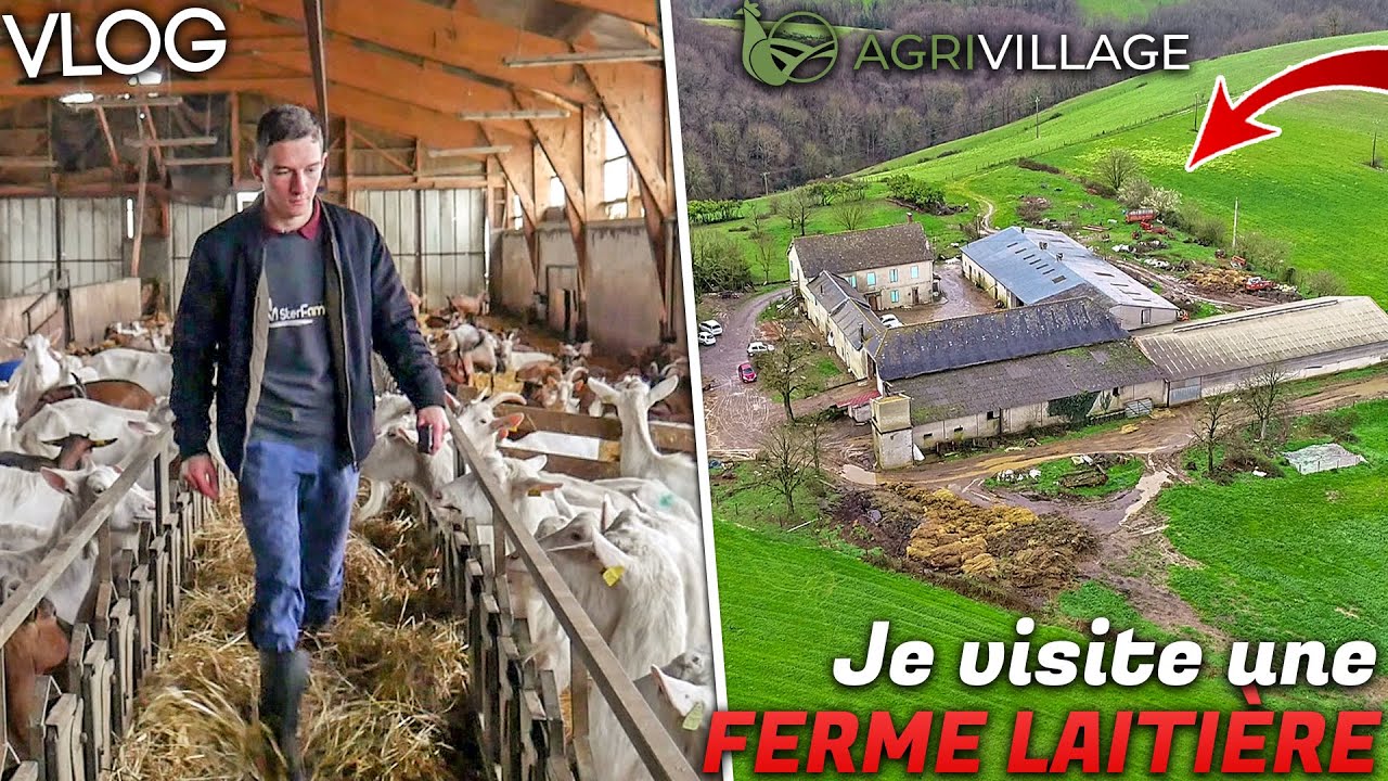VISITE D'UNE FERME LAITIÈRE ! TOUR DE FRANCE AVEC AGRIVILLAGE !
