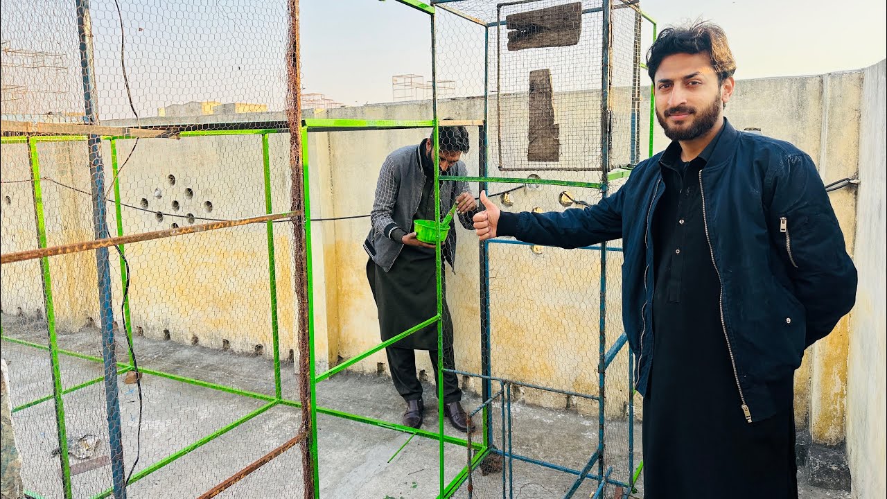 Bablu bhai ny jal ko rang krna shuru kr dia 😱 | Dar pigeons club | 