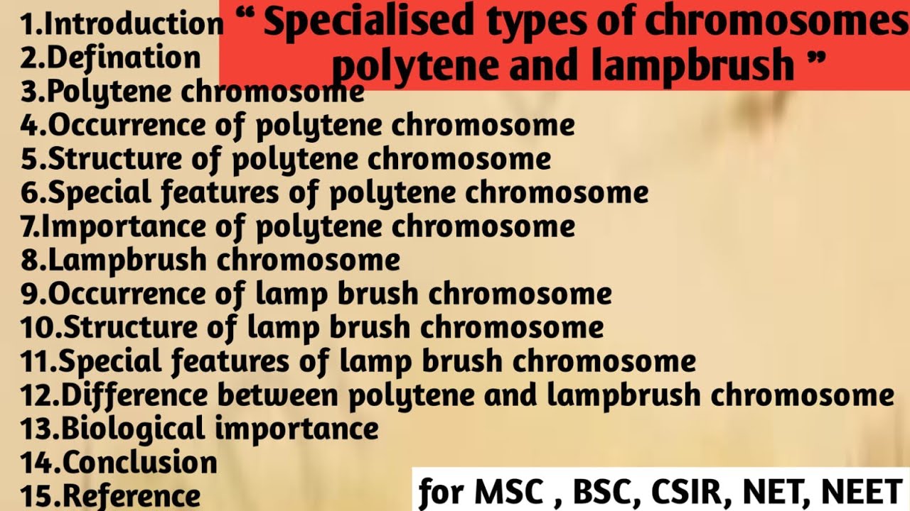 Specialized Types of chromosome | Polytene and lampbrush | Structure | Importance | Occurrence
