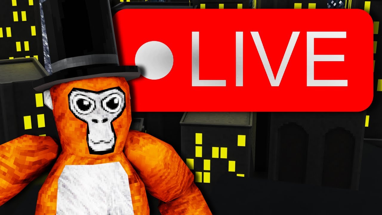 kipsGT live stream