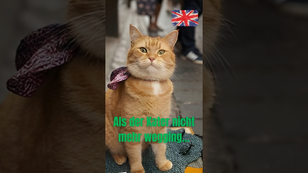 Wie Bob der Streuner ein Leben rettete!