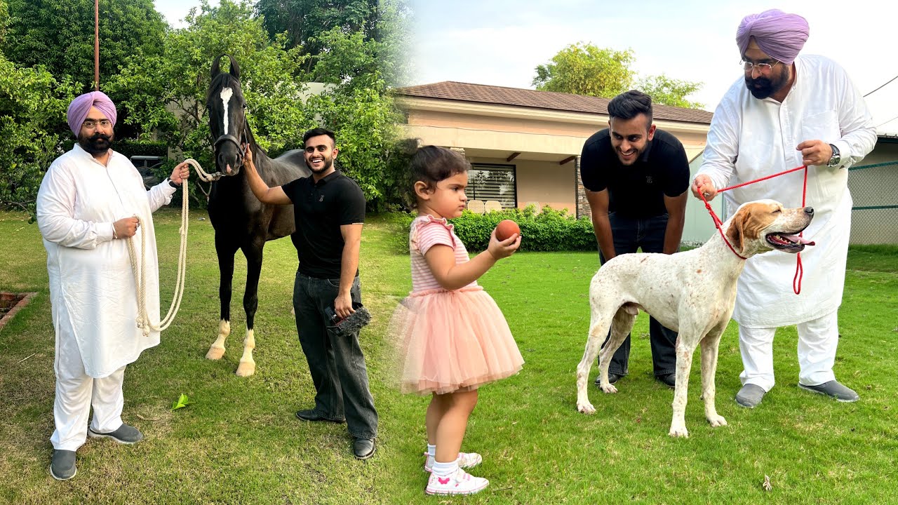 MLA Who Owns Biggest Dogs & Horses in Punjab😱😍