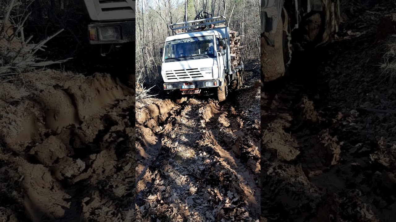steyr 6x6