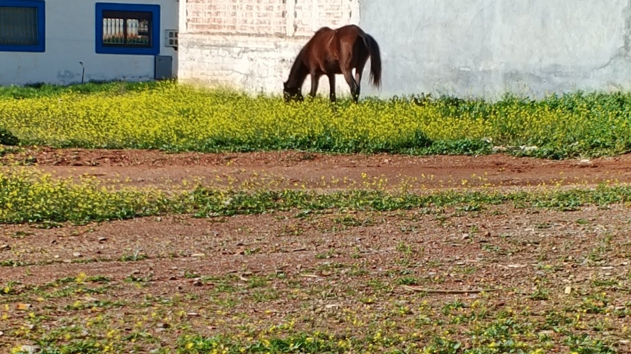 #wadlaw#tetuán #vlg #morocco #north 