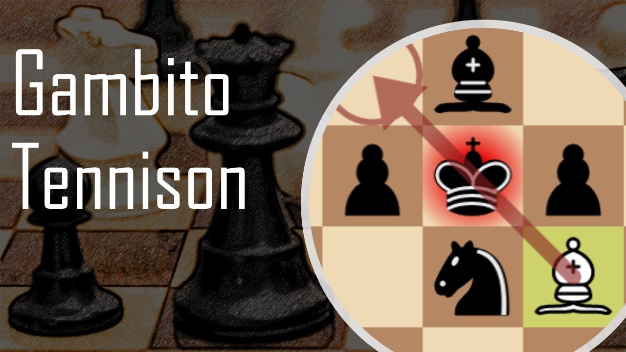 Ganhe a Dama com o Gambito Tennison: linha principal, para iniciantes no Xadrez