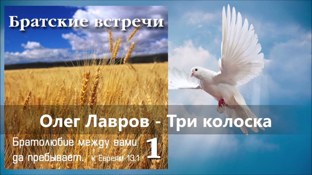 Олег Лавров - Три колоска | Христианская песня (Братские встречи 1)