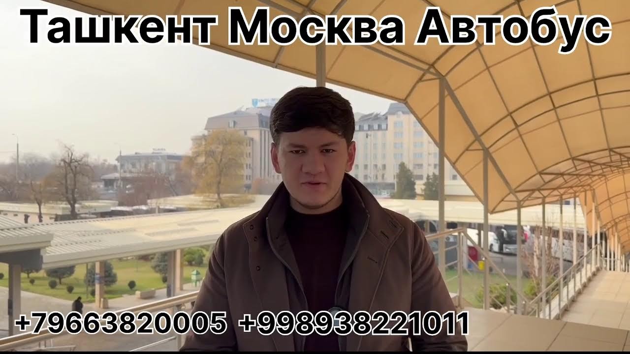 ташкент москва автобус