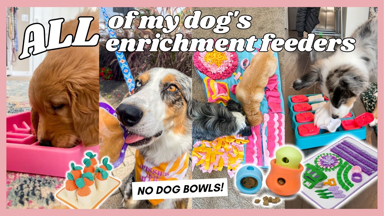 ALL of our Enrichment Feeders, Puzzles, & Snuffle Mats that My Dogs Use INSTEAD OF BOWLS!