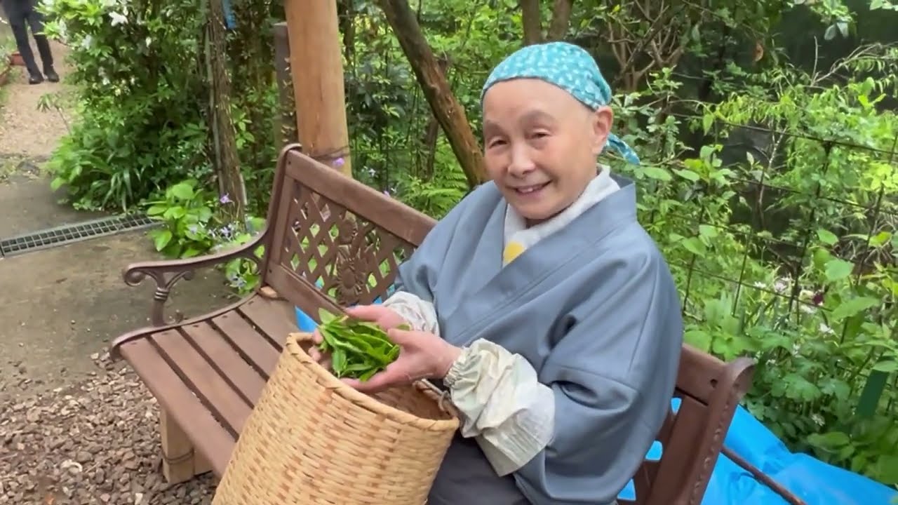 【音羽山観音寺便り】お寺の暮らし2024年5月