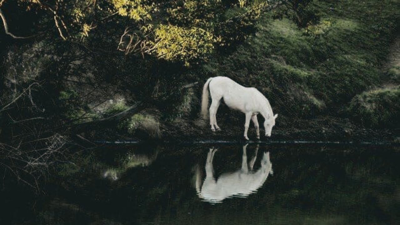 ‼️ Don’t Skip! This shows up when you need it. (then it disappears forever)