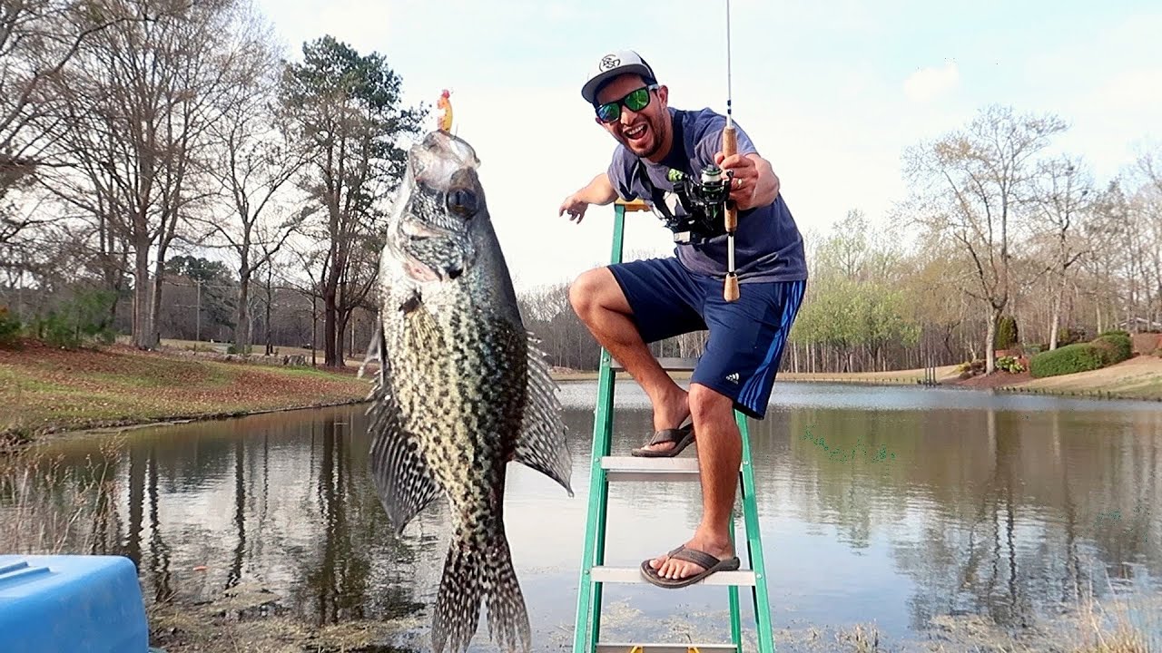 Reto de Pesca Usando Escalera