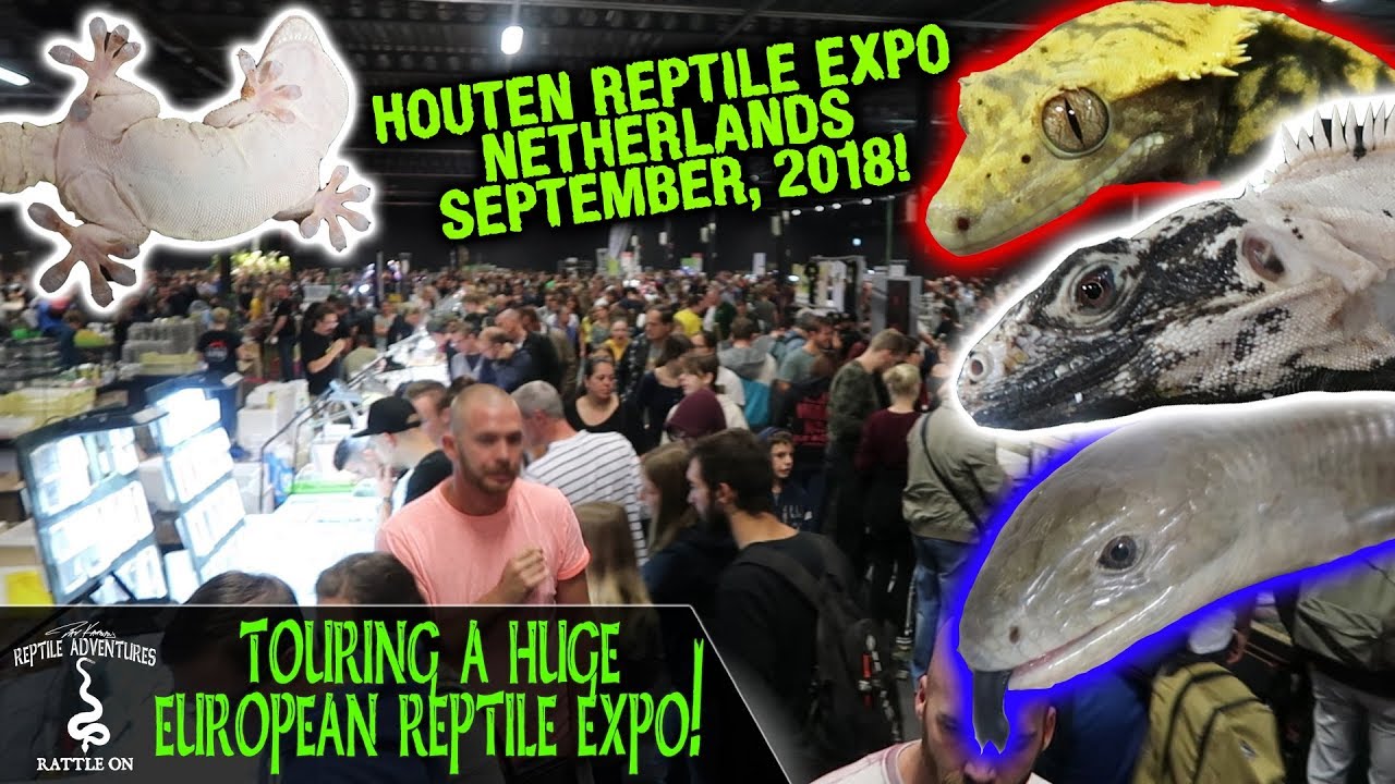 TOURING A HUGE EUROPEAN REPTILE EXPO! (Houten Reptile Expo, September 2018)
