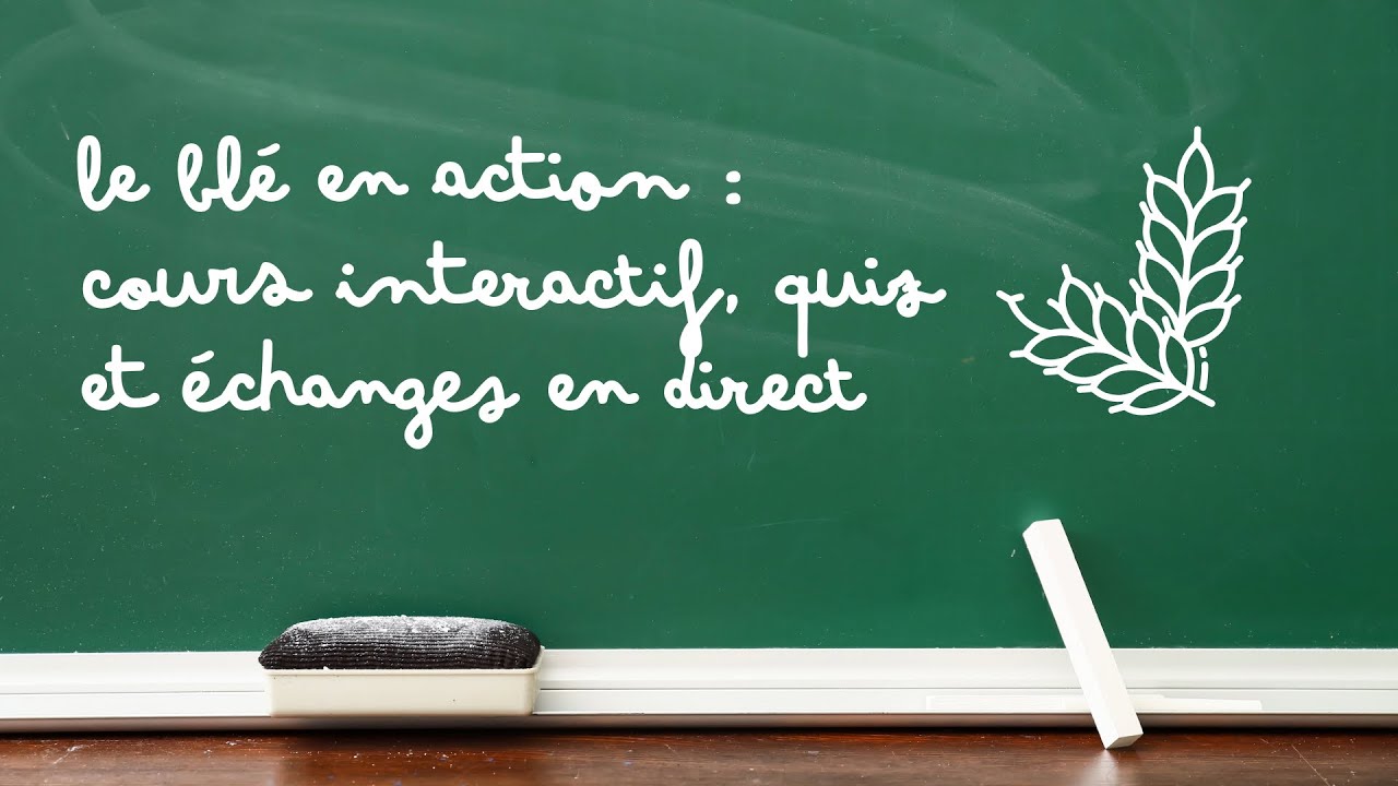 Cours dynamique EISF | Farine : types T, mouture et stockage (Révisions CAP en live)