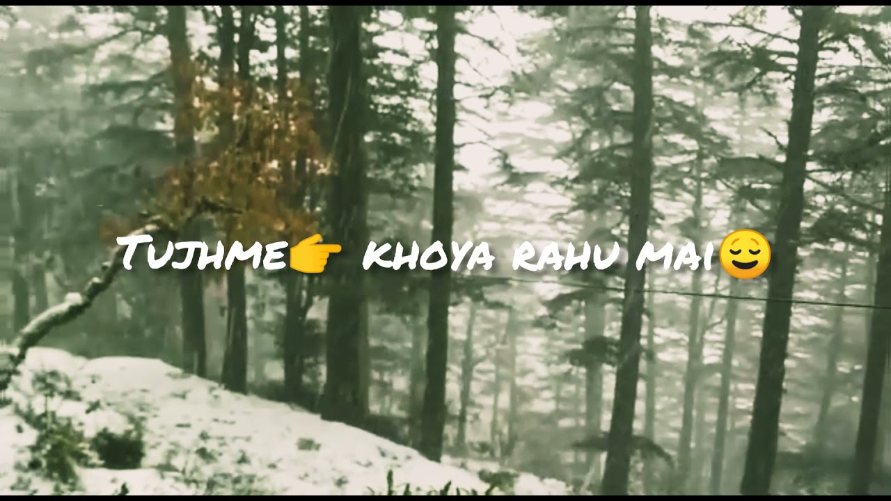 phir kabhi# phir kabhi song status#snowfall# winter weather# nainital snowfall💓