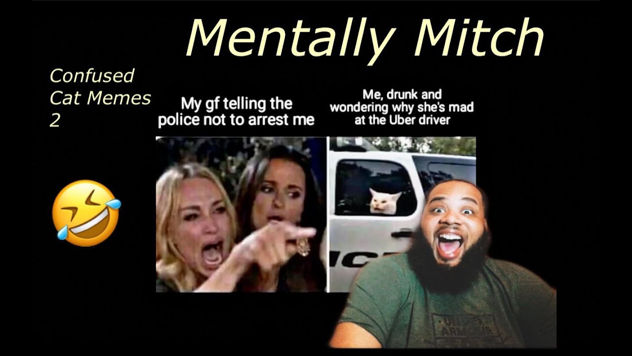 Mentally Mitch - Confused Cat Memes cont'd | REACTION