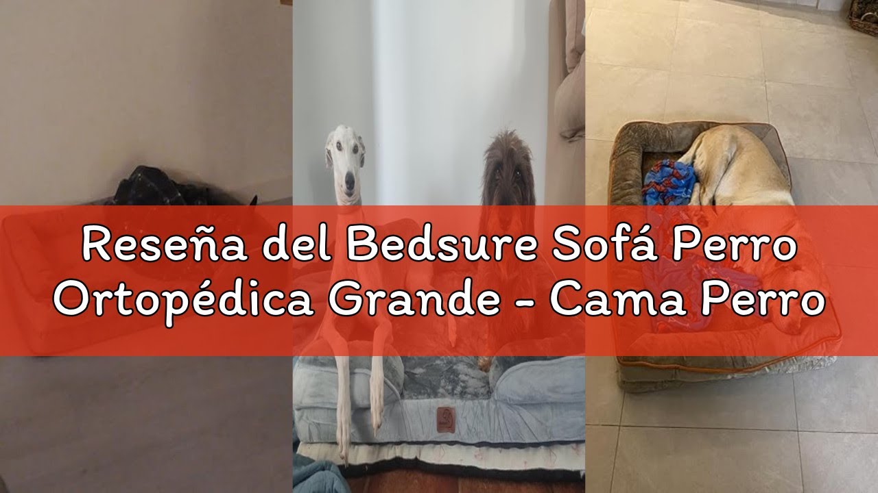 Reseña del Bedsure Sofá Perro Ortopédica Grande - Cama Perro Desenfundable y Lavable, Colchon Perro