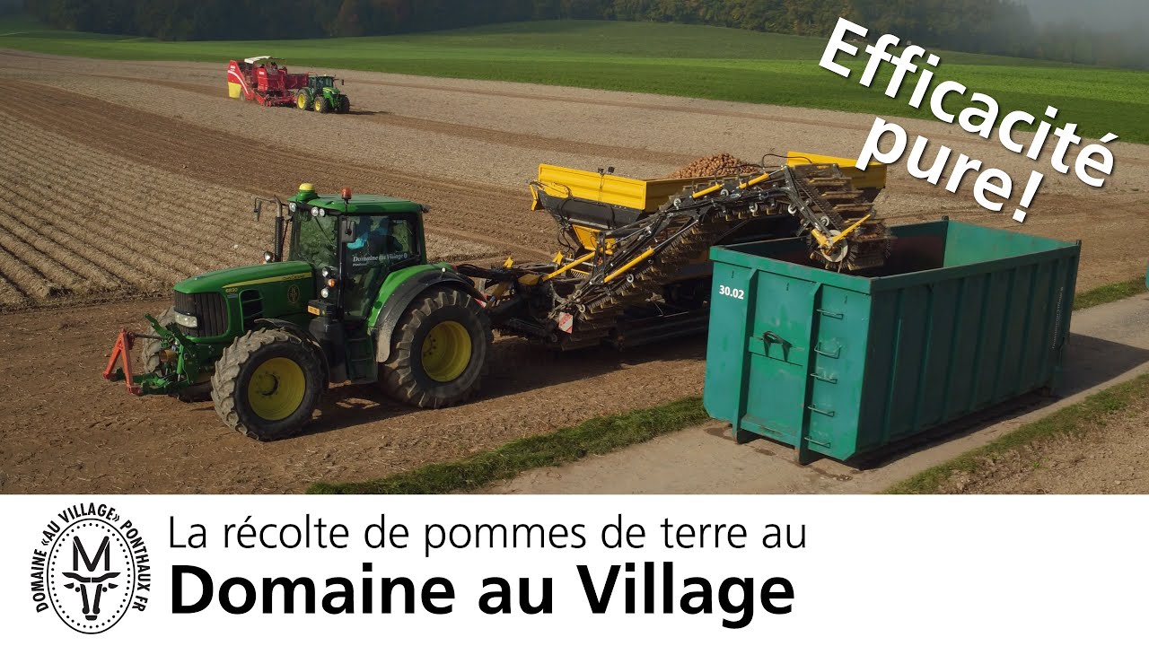 La récolte de pommes de terre au Domaine au Village - Die Kartoffelernte bei der Domaine au Village
