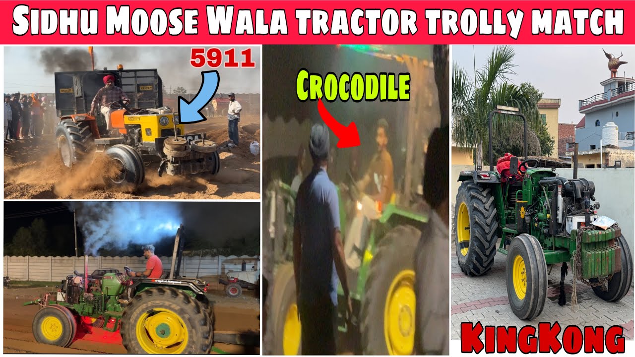 KingKong trolly khich tournament Karkor mohali // 5911 HMT // crocodile match’s vedio