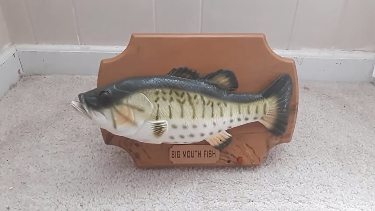 Arabic Big Mouth Fish singing fish review