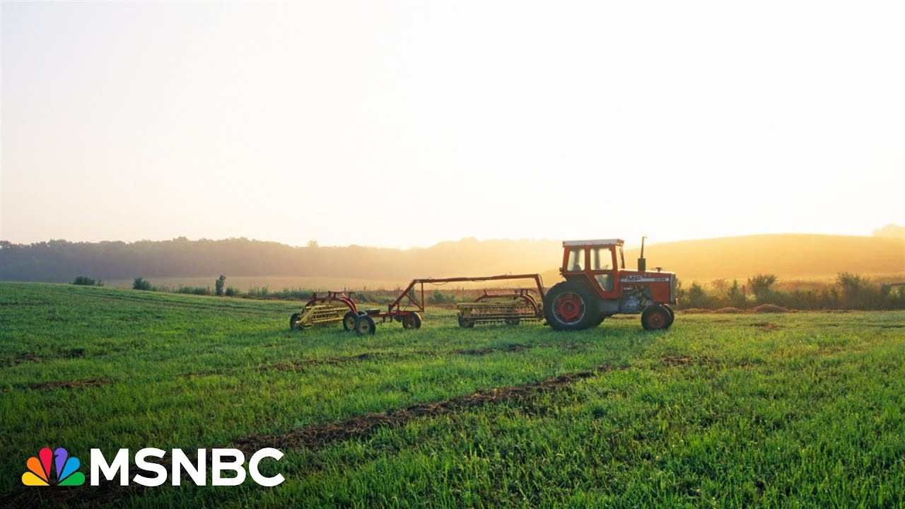 Trump's 'doggone tariffs' are raising prices for farmers: Fmr. Sen Jon Tester