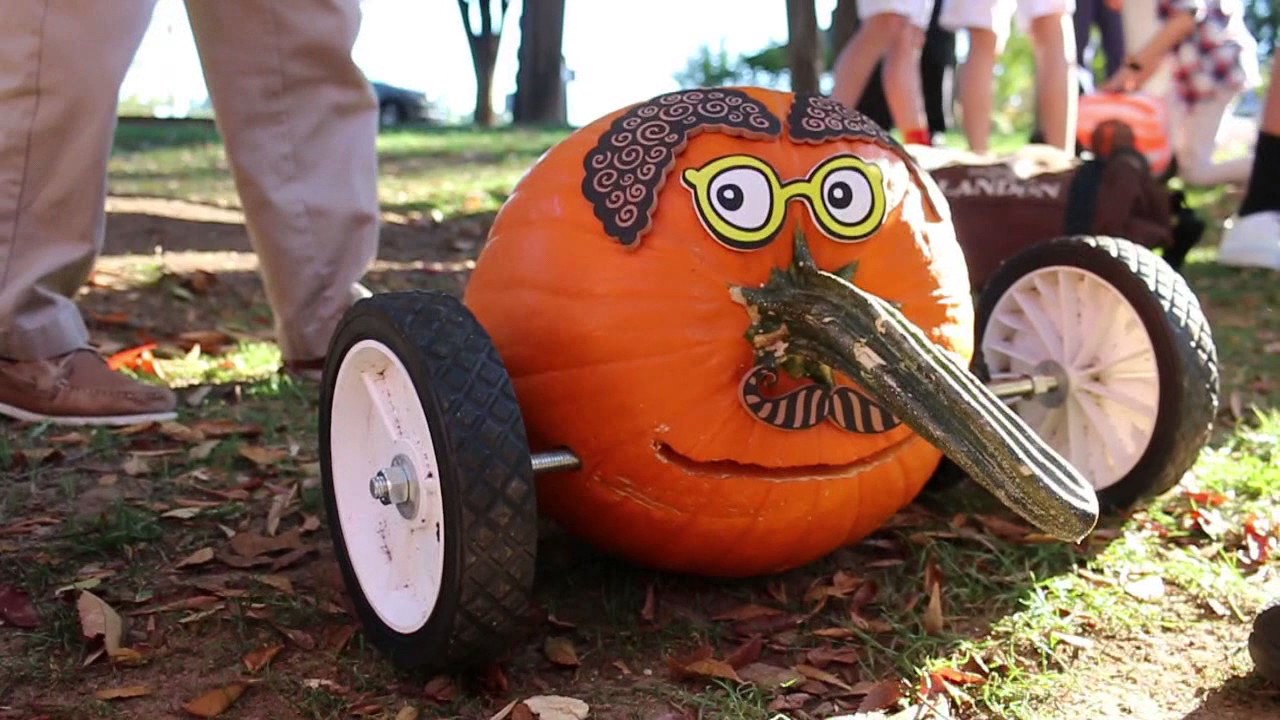 Pumpkin Races 2016
