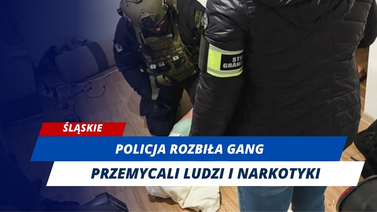 Zatrzymanie międzynarodowego gangu! Przemycali narkotyki i handlowali ludźmi!