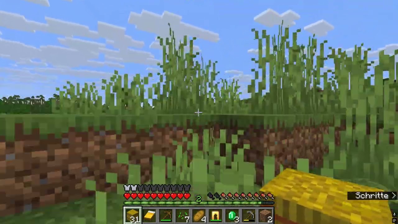 Ich spiele MINECRAFT durch #2