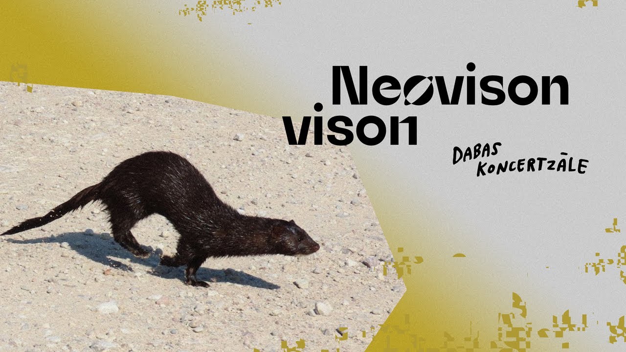 Американская норка (Neovison vison)