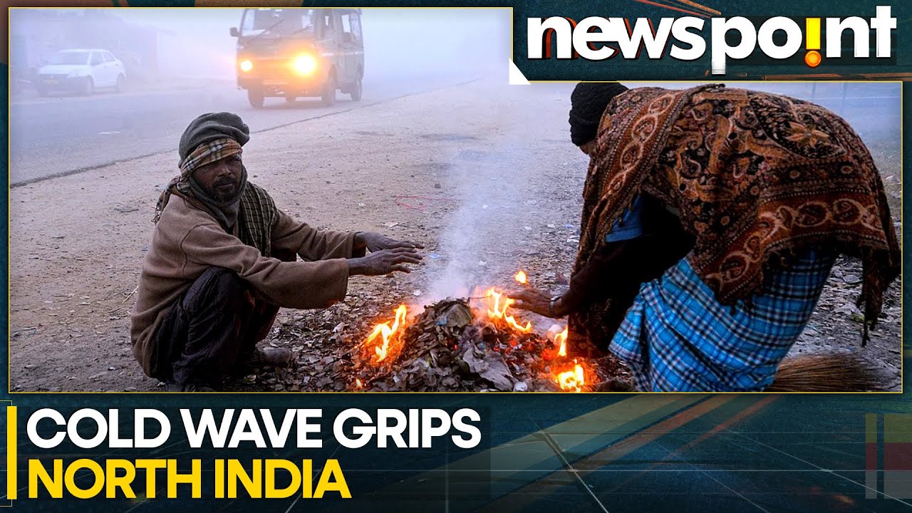 India: Cold Wave Grips Delhi-NCR As IMD Issues Yellow Alert | WION