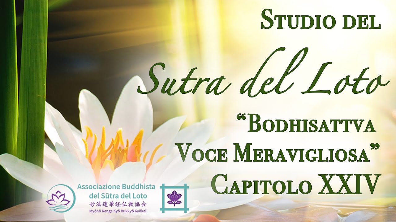 Studio del Sutra del Loto 