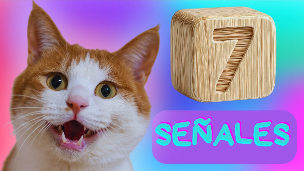 C&oacute;mo saber si MI GATO es FELIZ