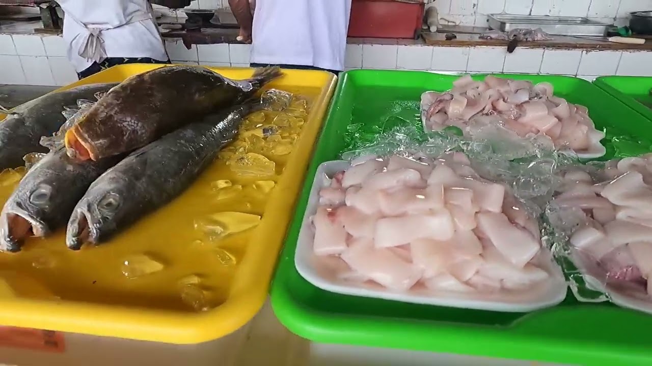 Mercado do Peixe em Ubatuba: Compramos Camarão, Lula e Polvo Fresquinhos 🦑🦐🐙
