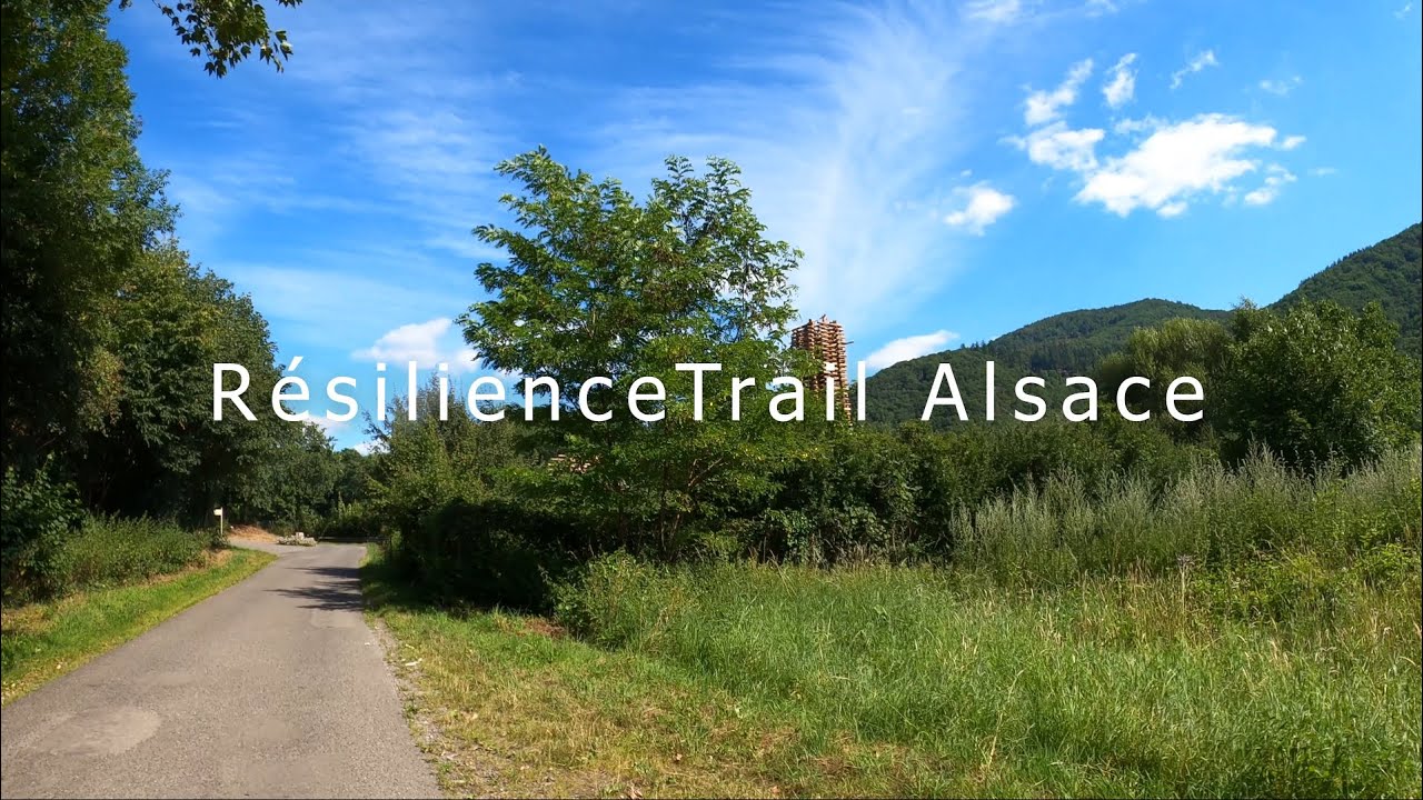 Les ch&egrave;vres du sentier des quatre collines | R&eacute;silienceTrail Alsace