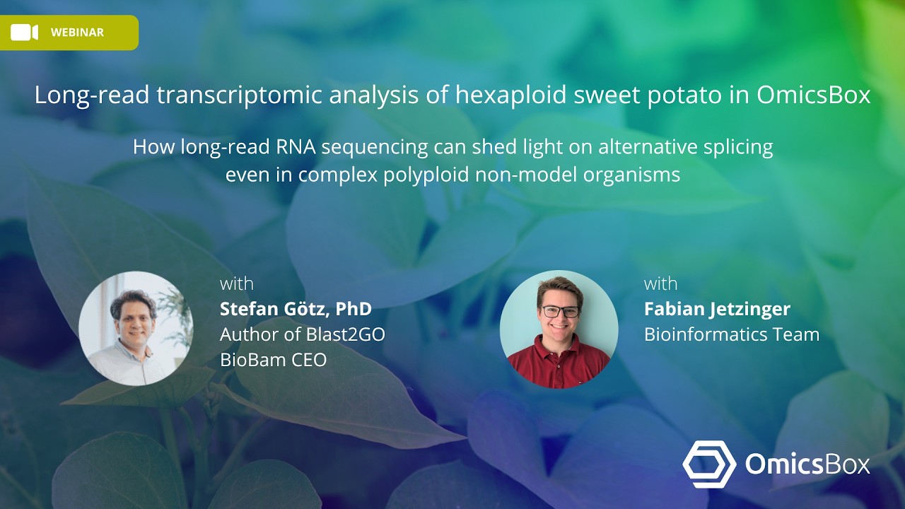 Webinar: Long-read transcriptomic analysis of hexaploid sweet potato in OmicsBox
