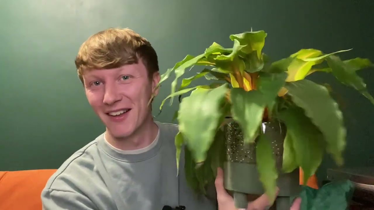 PLANT COLLECTION JAN 2025 PART 1