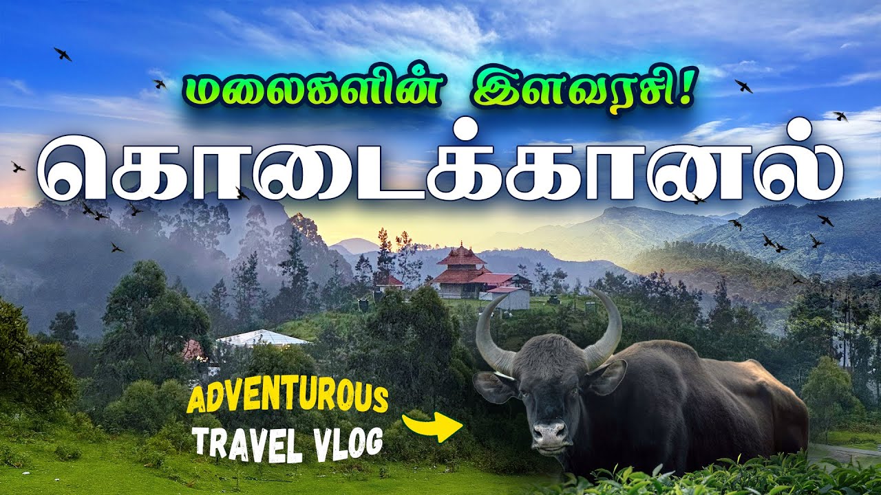 எழில்மிகு இயற்கை சொர்கம்! 😍 | Top Places to Visit in Kodaikanal | Poombarai Travel Vlog 2024