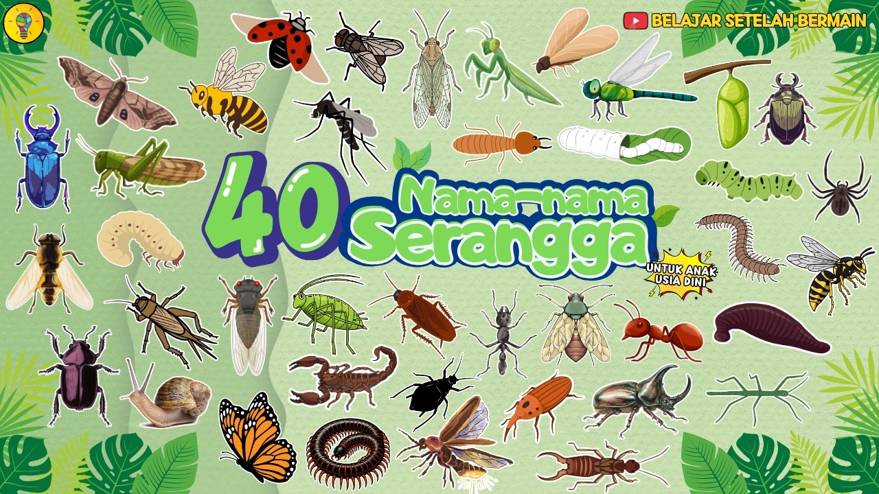 40 Nama Serangga untuk Anak Usia Dini - Belajar Mengenal Nama Serangga || Belajar Kelompok