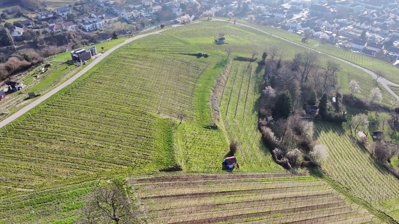 Weineberge mit der DJI - Neo zwischen Heppenheim und Bensheim an der Bergstraße
