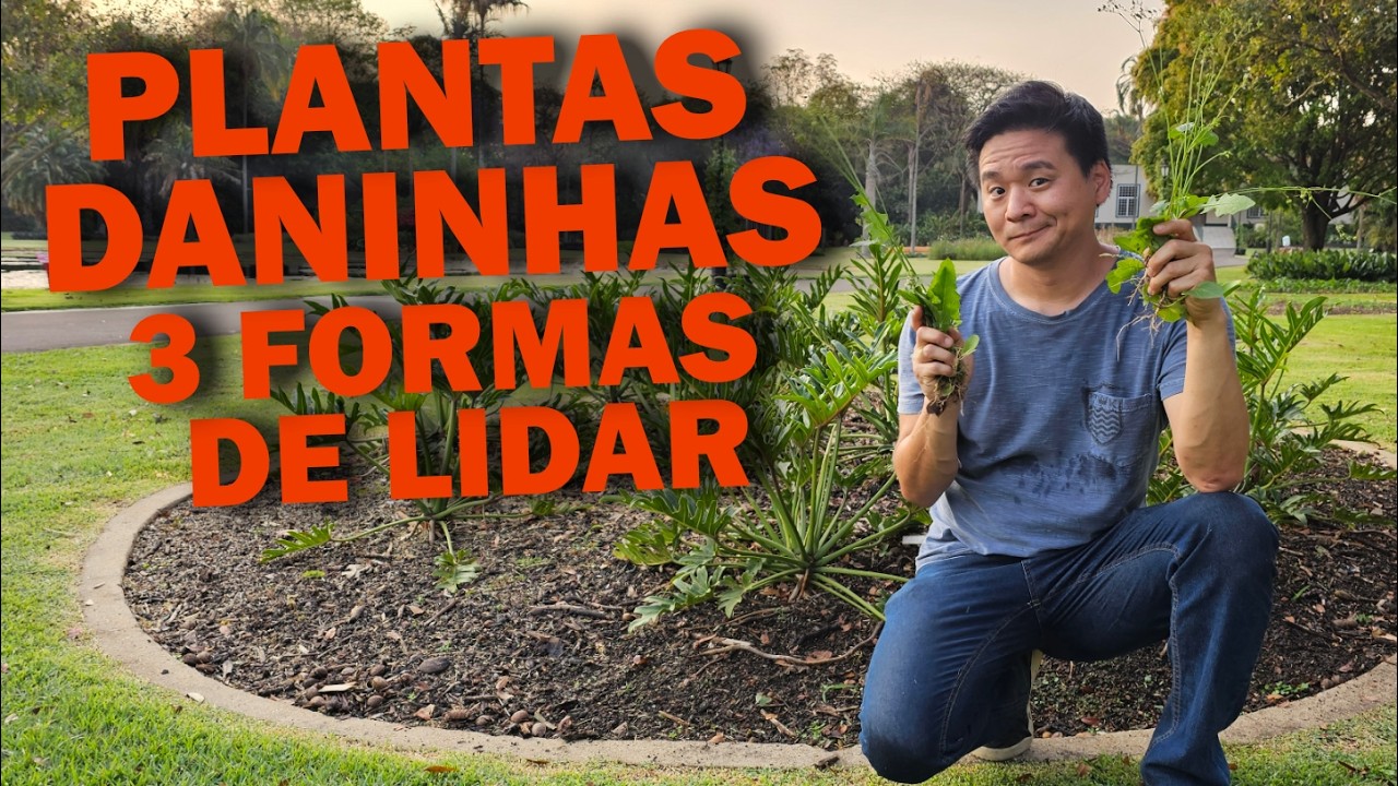Acabe com as Daninhas, os terr&iacute;veis MATOS!