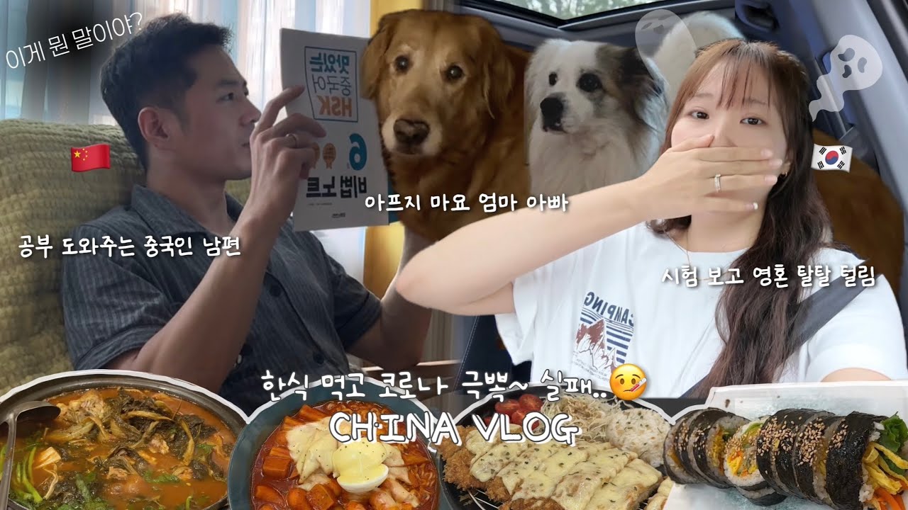 🇨🇳vlog 동갑내기 한중커플 | 한식 먹고 코로나 극뽁~ 실패..🤧 시험 D-2 벼락치기 갈겨. 쭝궈에서 HSK 6급 도전! 시험 결과는요..📚 존맛탱 서안 한식당 추천까지