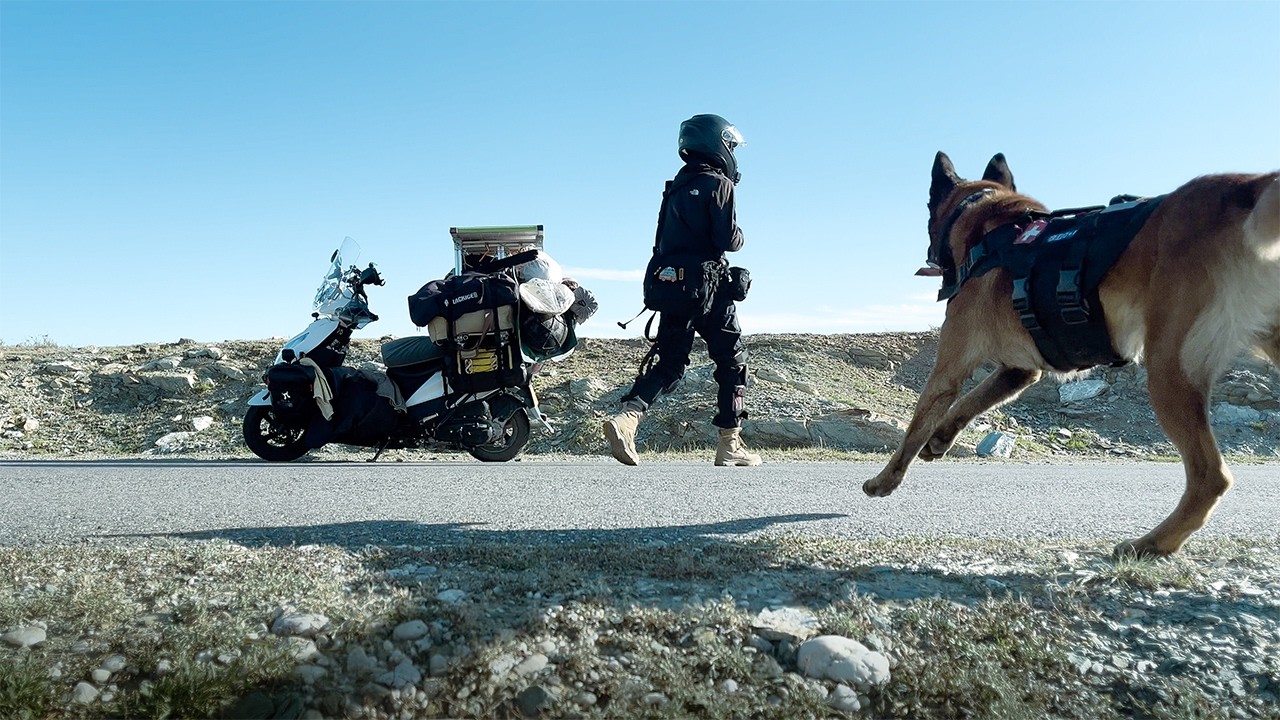 在新疆摩旅被牧民的狗追着咬，奇幻的一天