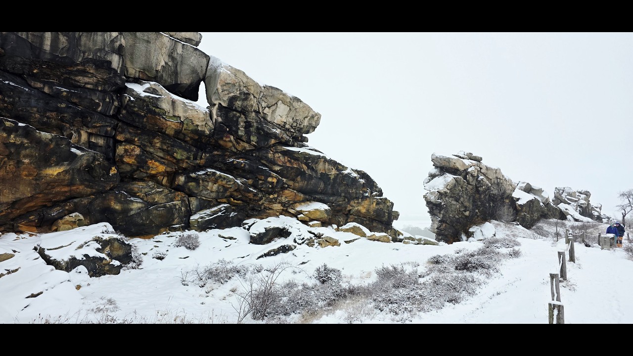 Sneeuw in de Harz
