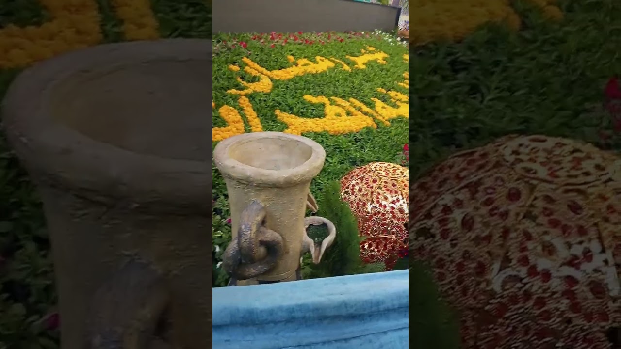 شباب بنات هذا محتوانا اللي يعجبه ارجو من ان يضع لنا لايك واشتراك