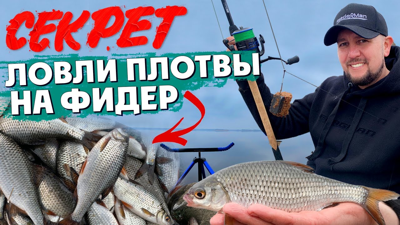 ПОПАЛ НА ВЕСЕННИЙ  ХОД ПЛОТВЫ. РЫБАЛКА НА ФИДЕР.