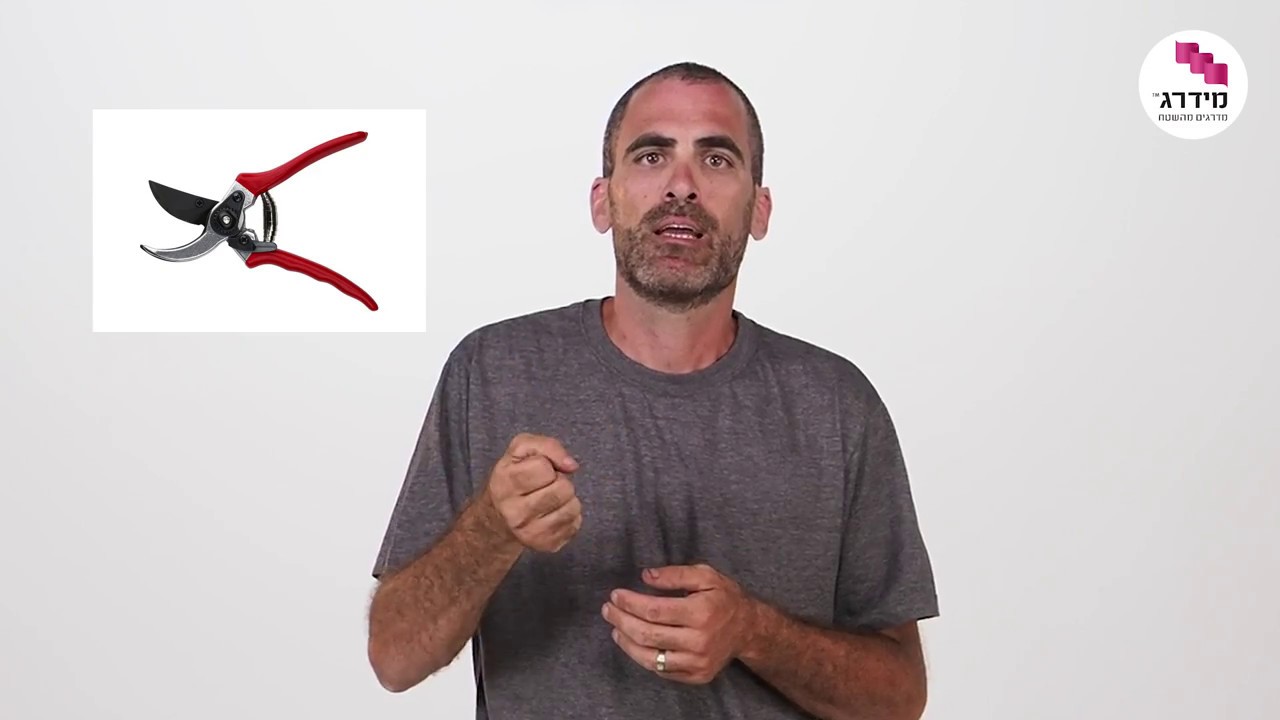 כלי גינון - מה צריך בכל גינה?
