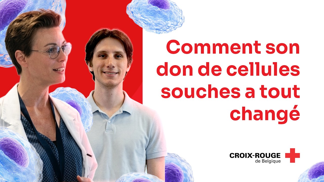 Du don de sang au don de cellules souches