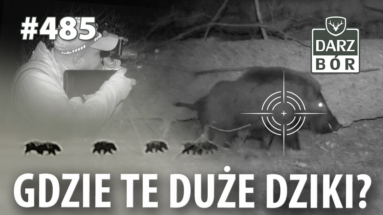 Darz B&oacute;r odc. 485 Polowanie na dziki. Czy tak musi być na &bdquo;szczytach władzy&rdquo; PZŁ&hellip;?