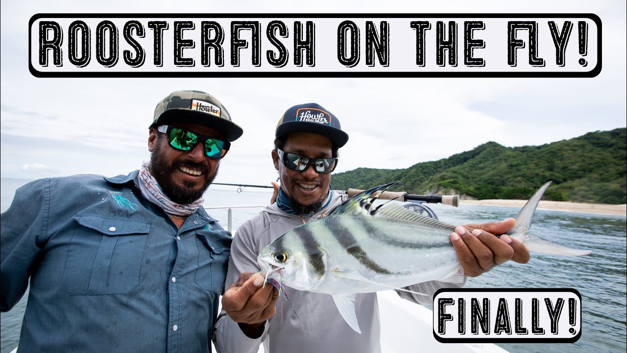 Roosterfish on the Fly - Finally!