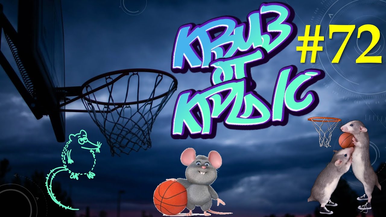 КВИЗ от КРЫС эпизод 72 QUIZ ot KRYS ep #72